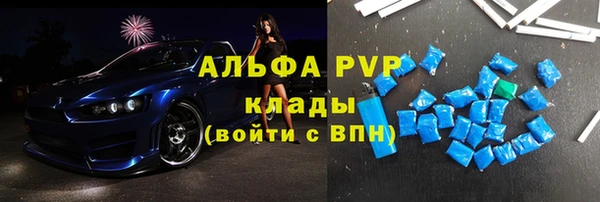 спиды Гусев