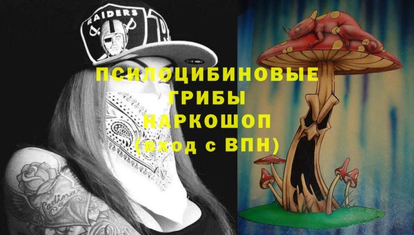 амф Дмитриев