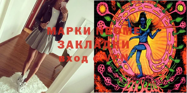спиды Гусев