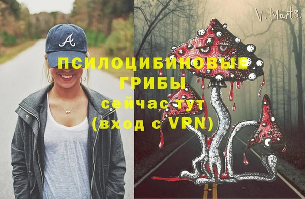 спиды Гусев