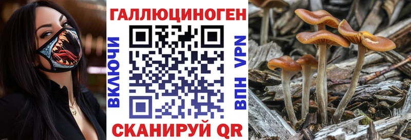 Купить  Саянск  Псилоцибиновые грибы мицелий 